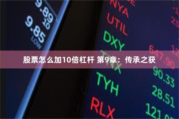 股票怎么加10倍杠杆 第9章：传承之获