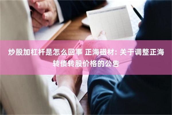 炒股加杠杆是怎么回事 正海磁材: 关于调整正海转债转股价格的公告