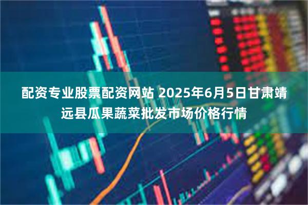 配资专业股票配资网站 2025年6月5日甘肃靖远县瓜果蔬菜批发市场价格行情